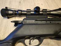 Gamo Arrow PCP