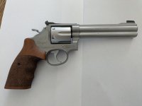 Smith @ Wesson Target Champignon .357