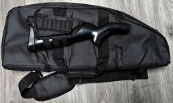 AR-7 Explorer (Henry) 22lr