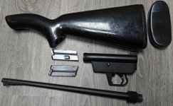 AR-7 Explorer (Henry) 22lr