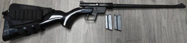 AR-7 Explorer (Henry) 22lr