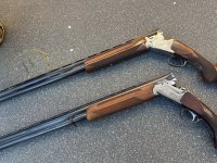 Tweetal hagelgeweren wegens beëindiging jacht