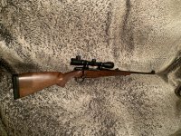 CZ550 - 300WinMag