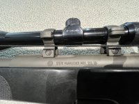 Steyr Mannlicher SSG 69 .243