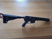 Ar-15 Luvo Black Lion