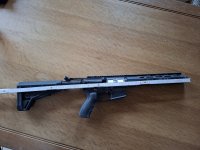 Ar-15 Luvo Black Lion