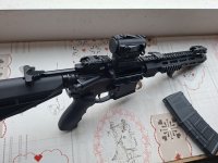 Ar-15 Luvo Black Lion