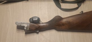 Centaure Luiks geweer