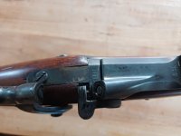 Springfield trapdoor 1886