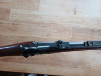 Springfield trapdoor 1886