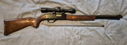 Winchester model 200 .22 semi automaat met buismagazijn en scope + 500x RWS kogels