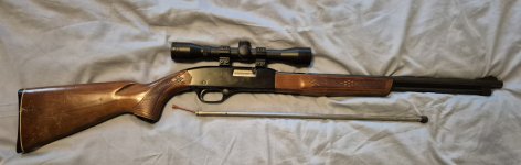 Winchester model 200 .22 semi automaat met buismagazijn en scope + 500x RWS kogels