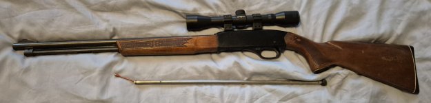Winchester model 200 .22 semi automaat met buismagazijn en scope + 500x RWS kogels