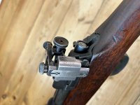 Eddystone M1917 met Parker Hale diopter vizier