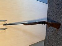 Browning .22 uit overlijden