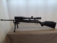 Ruger.22 ( type American ) .