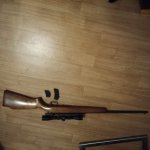 Remmington 581 (.22lr)