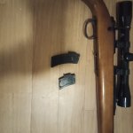 Remmington 581 (.22lr)