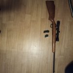 Remmington 581 (.22lr)