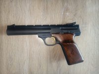 CZ P07 - Taurus 689 - Buckmark Target