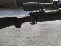 Winchester Model 70 "Black Shadow"