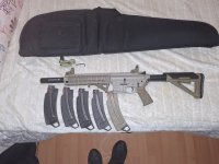 Smith&Wesson MP4 .22 (ar15 model)