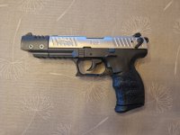 GEWEREN EN PISTOLEN OP VERGUNNING MODEL 9