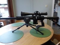 FX DRS Tactical 600 Cal 22