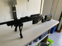 Mosin-nagant