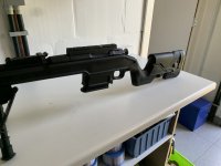 Mosin-nagant