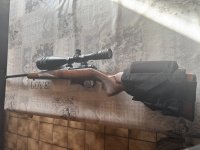 Cz 527 in  cal 22 hornet