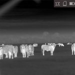 Nachtzichtcamera, warmtebeeld handkijker (monocular)