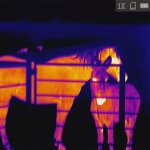 Nachtzichtcamera, warmtebeeld handkijker (monocular)