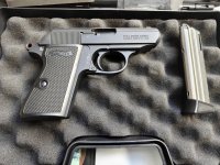 Walther ppk. 22