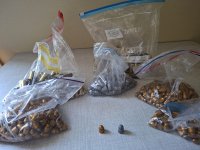 45 longcolt hulsen  en koggel koppen