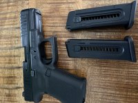 Glock g44 .22