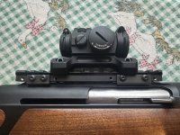 Sauer 303 – Kaliber .30-06 – Semi-automatisch topgeweer / Blaser montage