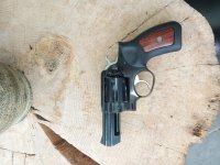 Ruger gp100