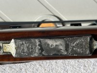 Browning A bolt