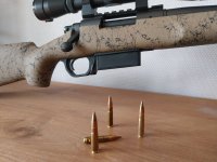 REMINGTON 700 SA  .300 AAC BLACKOUT