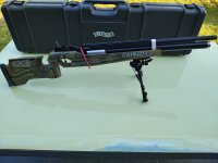 Walhter LG400 Field Target