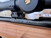 Benchrest Anschutz 1913A