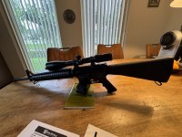 AR 15