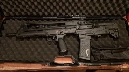 HS VHS 2S Springfield HELLION  223
