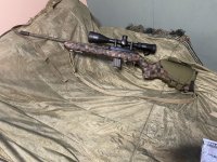 Diana R22 hunter camo