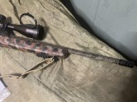 Diana R22 hunter camo