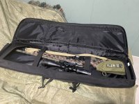 Diana R22 hunter camo