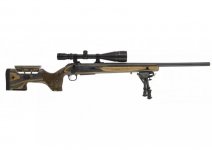 Accurate CZ 600 Range in .308