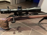 Accurate CZ 600 Range in .308