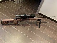 Accurate CZ 600 Range in .308